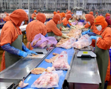  中國香港成為越南最大肉和肉制品進口市